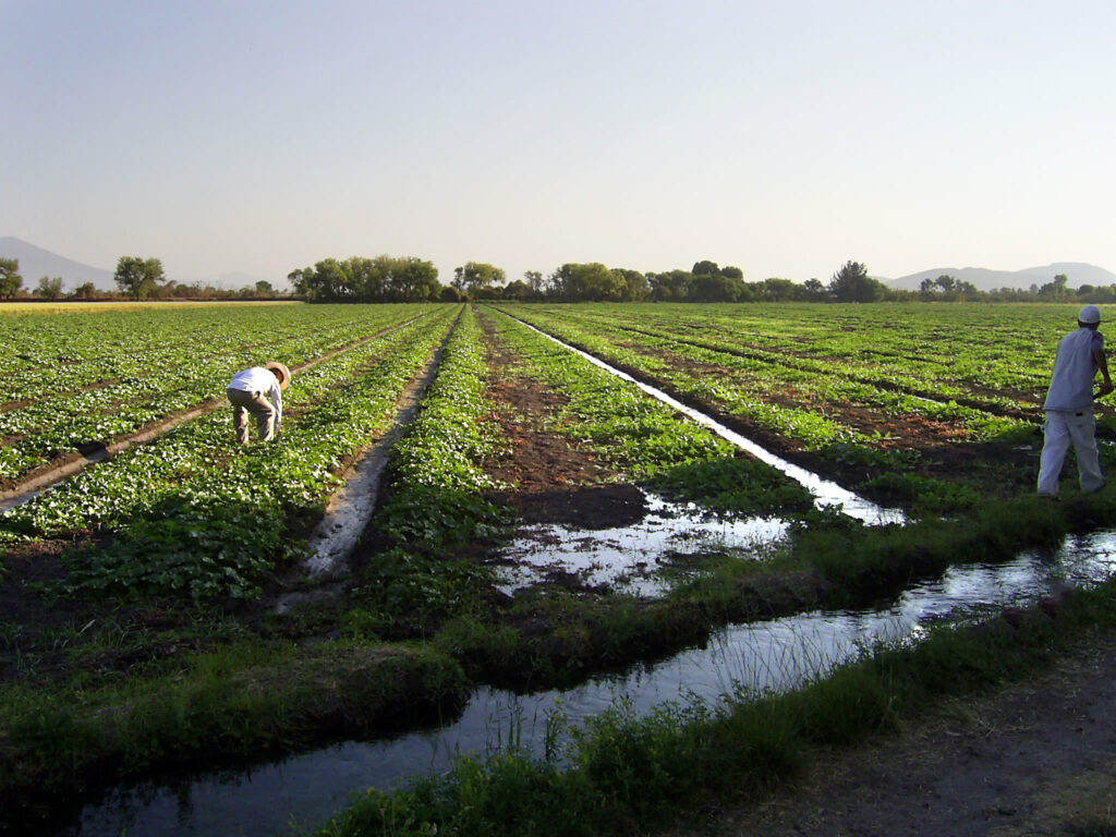 Unión de productores del Campo